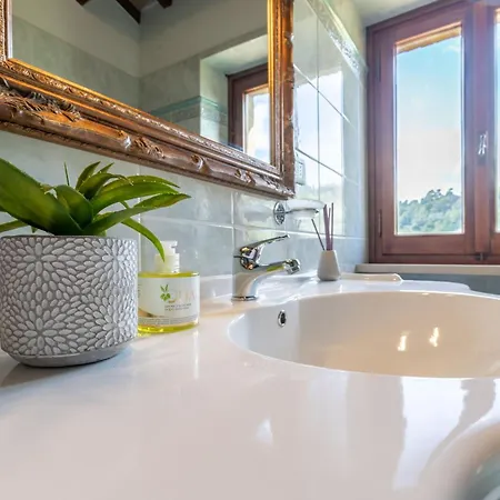 别墅 Italian Experience-villa Vagnini *